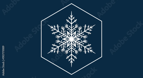 Elegant Snowflake Icon in Hexagon Frame on Dark Blue Background