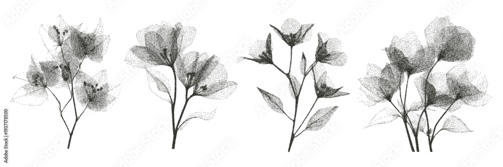Naklejka premium Herbarium plant set with X-ray effect. Trendy grunge style flowers. Vector.