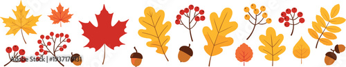 Autumn leaves and berries collection with maple oak branches and acorns seasonal nature flat vector illustration set