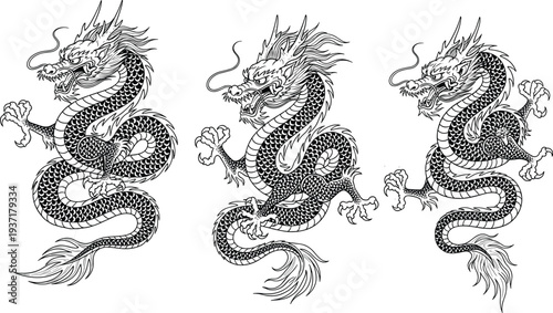 Three Detailed Black And White Illustrations Of A Traditional Chinese Dragon illustration mythical creature
