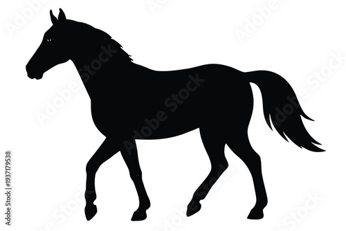 Horse, Equine Silhouette