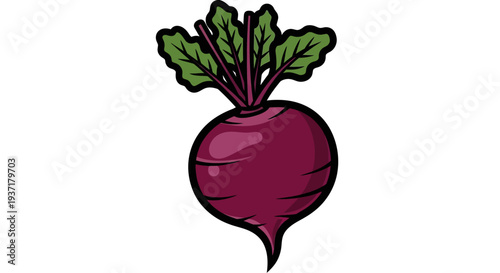 A vibrant purple beetroot vegetable.