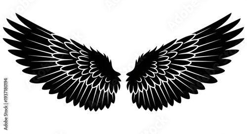 Black Angel Wings Isolated on White Background.