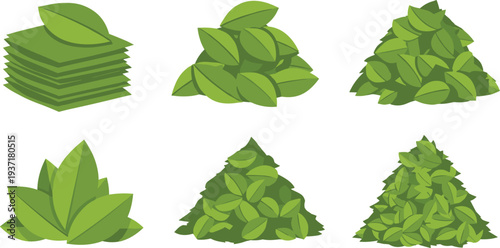 Green Tea Leaves Pile Fresh Herbal Leaves Collection Natural Plant Ingredient Flat Vector Illustration Set