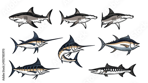 Set of Vector Illustrations of Various Marine Fish Species
