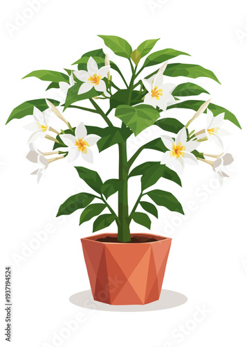 Potted jasmine plant with green leaves and white blossoms, vector art. Low poly vector illustration of flowering plumeria plant in geometric pot. White frangipani flowers in a terracotta planter