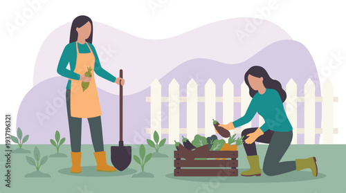 Female gardeners harvesting fresh organic vegetables in a sunny garden
