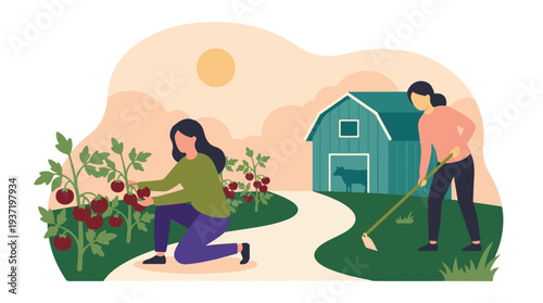 Women farming and harvesting tomatoes on a rural property with barn