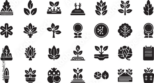 Plant Growth and Botany Icons Set Black and White Vector
