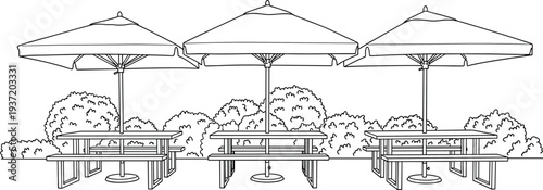 Outdoor cafe seating with patio umbrellas and tables in park garden setting, restaurant terrace furniture line art illustration landscape design concept