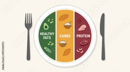 Balanced Diet Meal Plate with Healthy Fats, Carbs, and Protein Food Groups