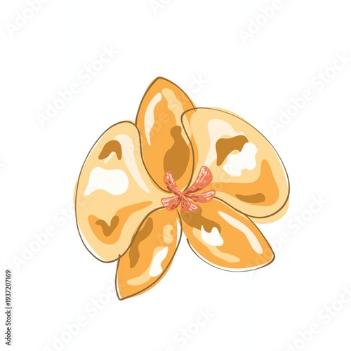 Beautiful orchid yellow petal flat vector illustration isolated