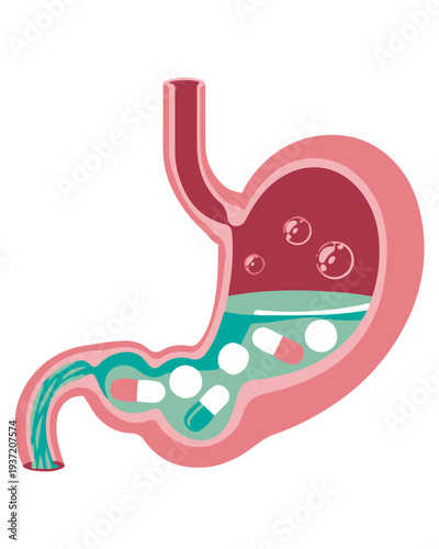 Pills Absorbed in Stomach