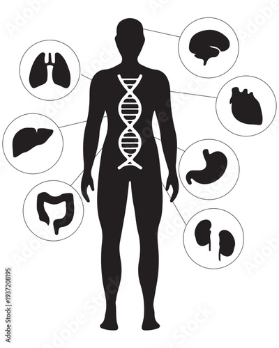 Human Genetics and Organs