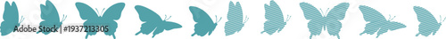 Teal butterflies in various poses and styles butterfly