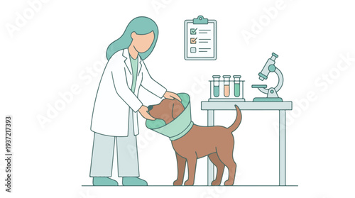 Veterinarian caring for a dog wearing an E-collar in a clinic