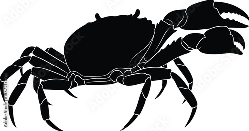 Crab silhouette vector illustration, seafood crustacean marine animal icon, ocean wildlife clipart, black crab symbol isolated, aquatic shellfish design