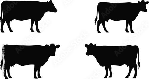 Four Black Silhouettes of Cows Standing on White Background Keywords: cow, cattle, silhouette, black, white background, animal