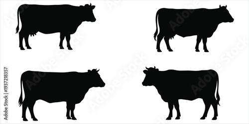Four Black Silhouettes of Cows Standing on White Background Keywords: cow, cattle, silhouette, black, white background, animal