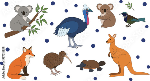 Australian wildlife animal collection with koala, kangaroo, cassowary, platypus, kiwi, fox, and native birds vector illustration