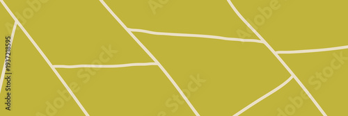 Farm plantation for agriculture view vineyard and pattern field top.