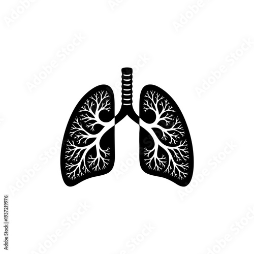 Human Lungs Silhouette with Bronchial Tree Anatomy Vector Illustration
