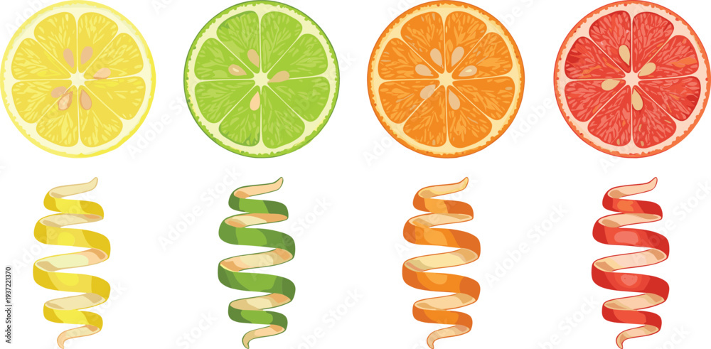 Fototapeta premium Citrus fruit slices collection with lemon, lime, orange, and grapefruit spiral peel fresh juicy vector illustration set