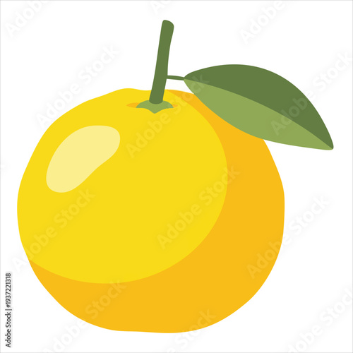 illustration of Yuzu fruit art
