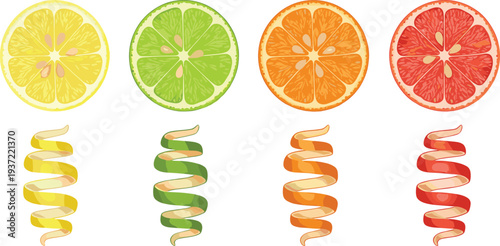 Citrus fruit slices collection with lemon, lime, orange, and grapefruit spiral peel fresh juicy vector illustration set