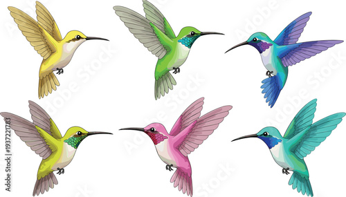 Colorful Hummingbird Vector Set with Flying Tropical Birds in Different Colors Detailed Wildlife Illustration Collection for Nature, Garden, and Exotic Animal Designs