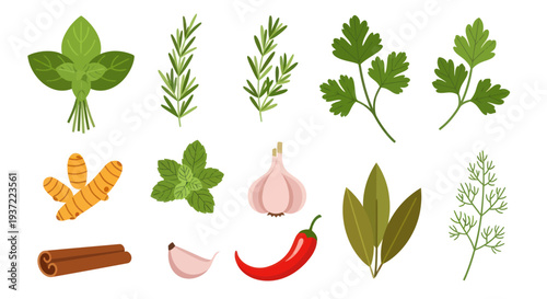 Fresh herbs and spices collection
