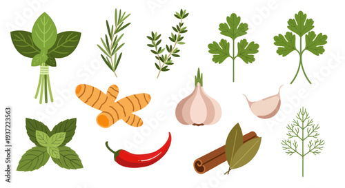 Fresh herbs and spices on white background