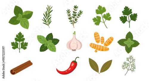 Fresh herbs and spices on white background