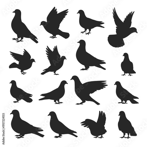 Collection of black silhouettes depicting pigeons in various poses