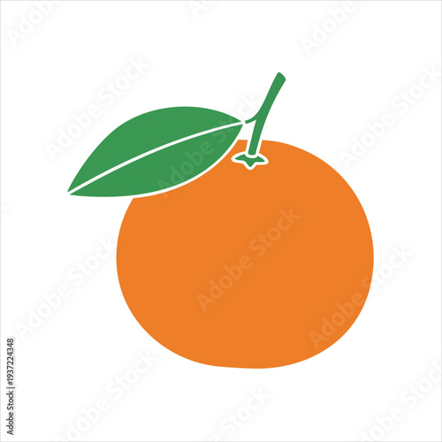 illustration of Tangerine fruit art