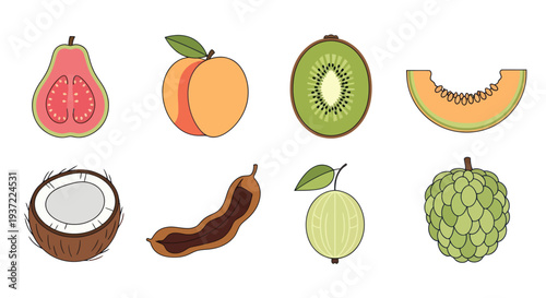 Illustrated tropical fruits set
