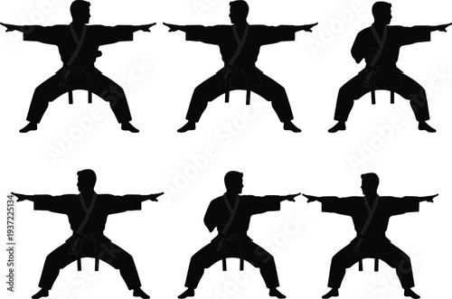 Professional martial artist silhouette in various karate poses for sports, fighting, and self-defense concepts vector illustration