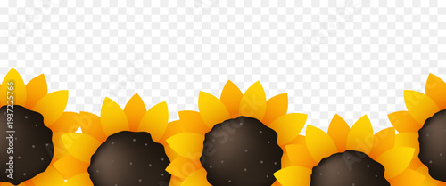 Sunflowers seamless border. Frame of sunflowers. Vector illustration.
