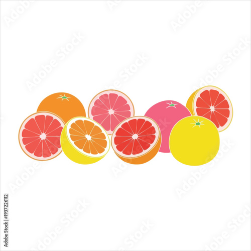 illustration of grapefruit art