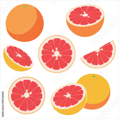 illustration of grapefruit art