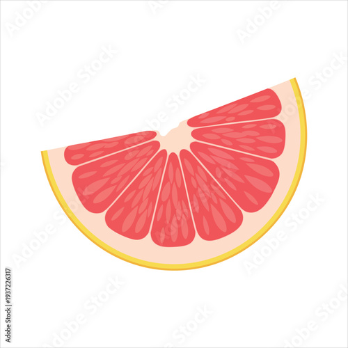 illustration of grapefruit art