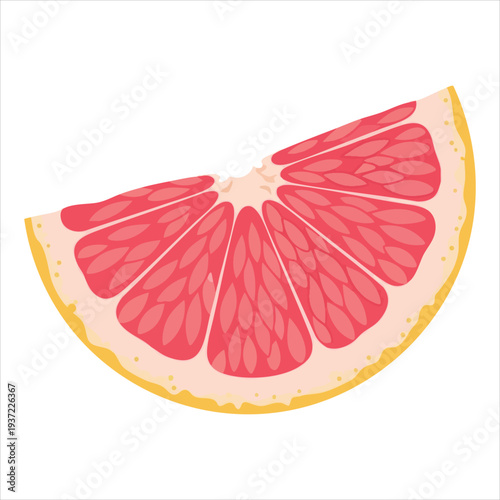 illustration of grapefruit art