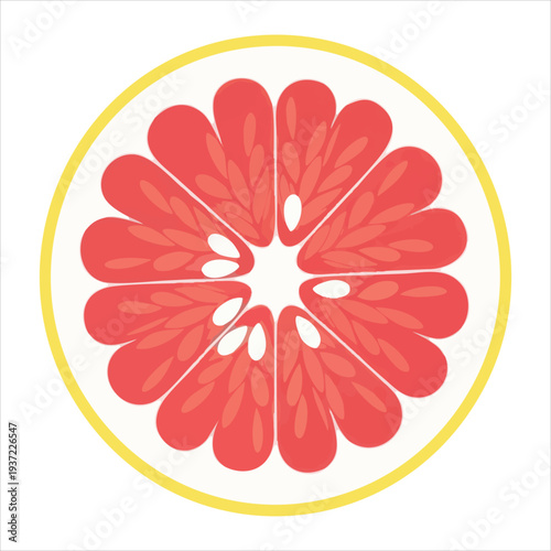 illustration of grapefruit art