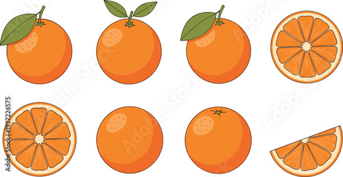 Fresh orange fruit vector set with whole oranges, sliced citrus pieces, leaves, and juicy segments isolated on clean background