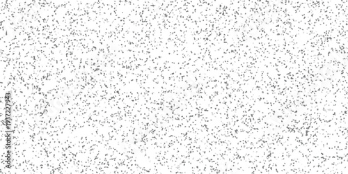 Fine grayscale speckled texture with tiny irregular shapes on a white background creating a delicate abstract pattern for minimalist backgrounds and design