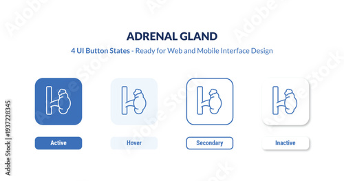 adrenal gland 4-state UI button. Outline icon kit from medical collection. Thin linear adrenal gland, medical, adrenal editable vector. Minimal adrenal gland sign for web and mobile interface