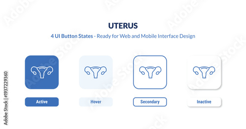 uterus 4-state UI button. Outline icon kit from medical collection. Thin linear uterus, medical, female editable vector. Minimal uterus sign for web and mobile interface