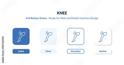knee 4-state UI button. Outline icon kit from medical collection. Thin linear knee, medical, bone editable vector. Minimal knee sign for web and mobile interface