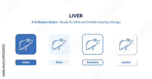 liver 4-state UI button. Outline icon kit from medical collection. Thin linear liver, medical, health editable vector. Minimal liver sign for web and mobile interface