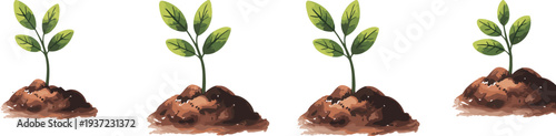Seedling plant growth stages illustration, young green sprout in soil collection, gardening concept, agriculture nature life cycle isolated